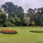 Image of a one of the garden areas within Royal Botanic Gardens.