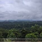View from the deck of the main house. The swimming pool is right below frame.