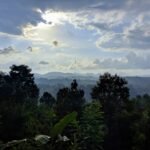 View from cottage Peradeniya