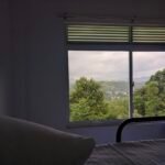 Great view to wake up to in Peradeniya 🌄